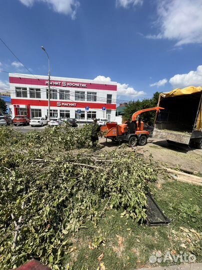 Измельчитель Веток, Дробилка в аренду