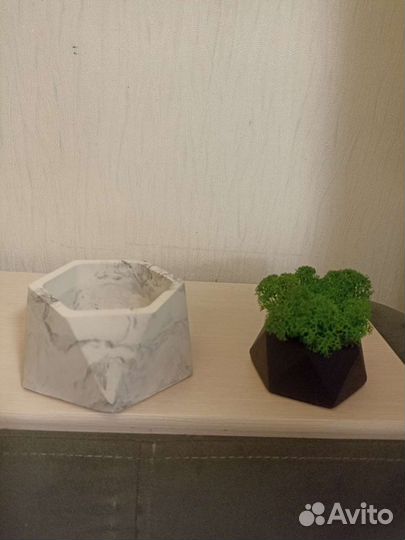 Кашпо со стабилизированным мхом