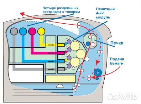 Принтер Epson AcuLaser C4000 на зип