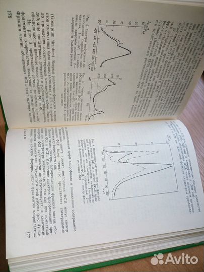 Патологическая физиология и иммунитет растений1976