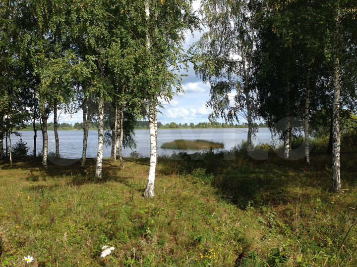 Участок 15,7 сот. (СНТ, ДНП)