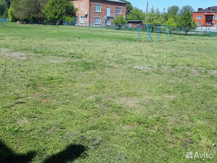 Покос травы триммером,спил деревьев