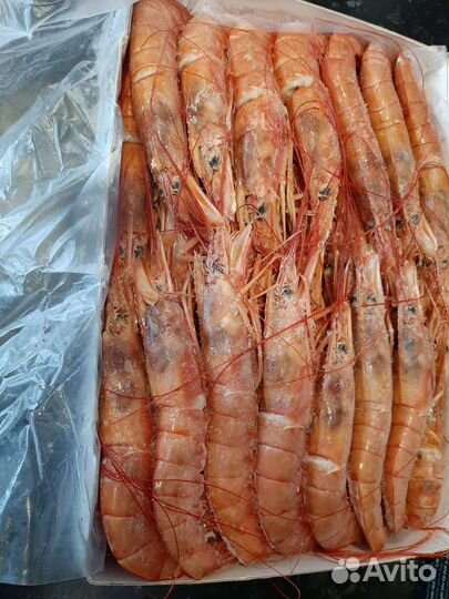 Лангустины, креветки В наличии