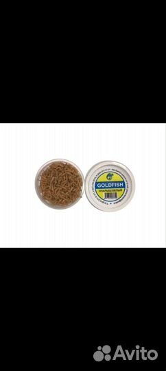 Опарыш червяк дендробена опт