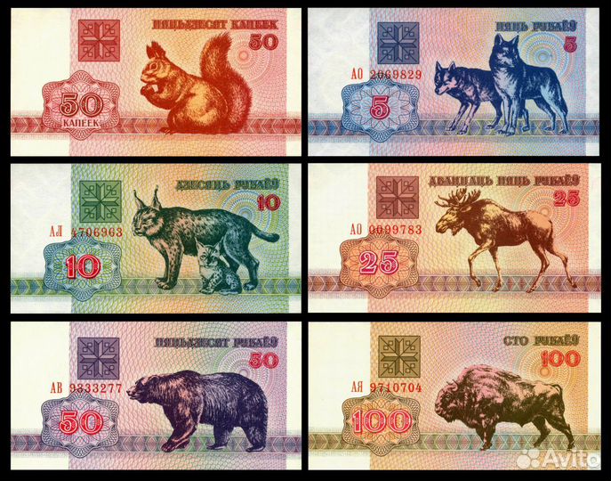 Белоруссия: банкноты 1992 года 6шт