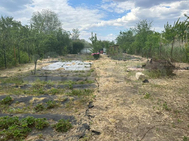 Участок 8 сот. (СНТ, ДНП)