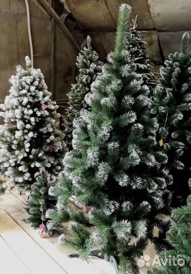 Елки оптом