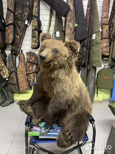 Чучело медведя(имитация)