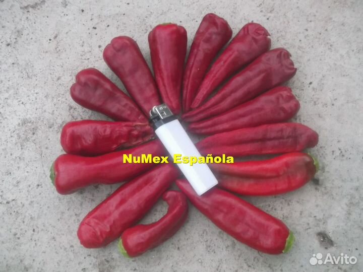 Перец пикантный NuMex - комплект из 5 сортов