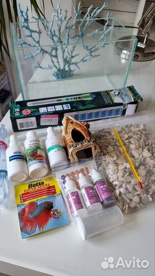 Аквариум для рыбки петушка