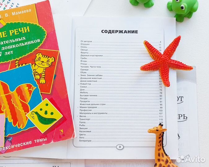 Пособие по развитию речи (отправлено доставкой)