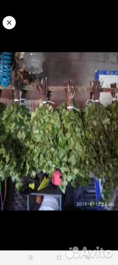 Веники для бани