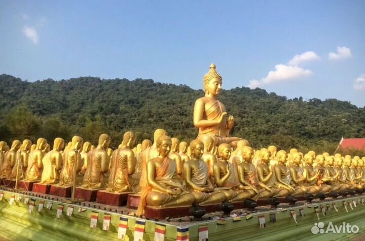 VIP-тур в Pattay на 7 ночей