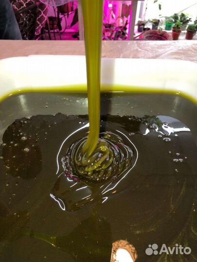 Мед хвоя (сосна, ель, кедр, пихта)