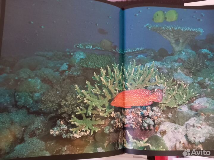 Фотоальбом 