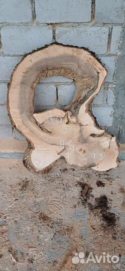 Слэбы векового ясеня