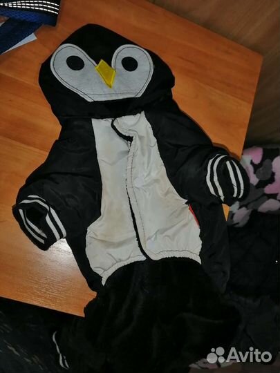 Одежда для собак