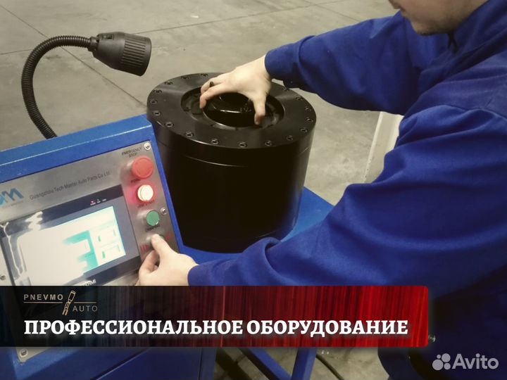 Пневмостойка BMW 7 series F01 F02 Задняя