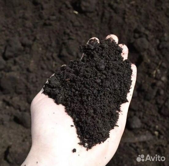 Торфогрунт