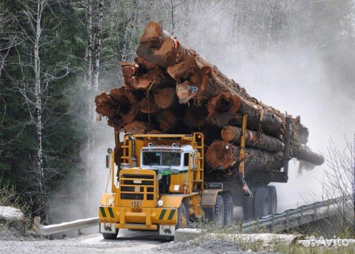 Водитель категории Е