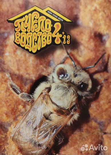 Журнал Пчеловодство