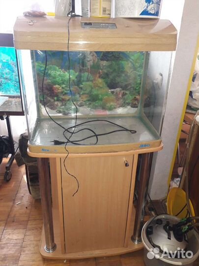 Аквариумы