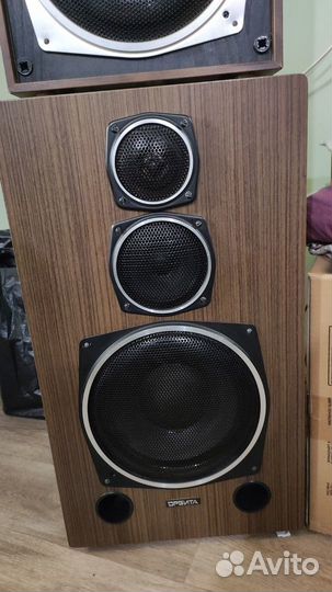 Колонки Орбита 35 AC-016