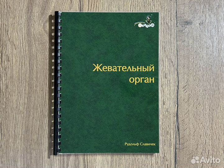 Жевательный орган