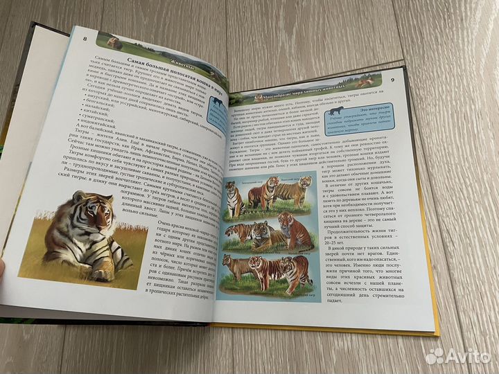 Детская энциклопедия и сказки