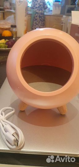 Ночник котик