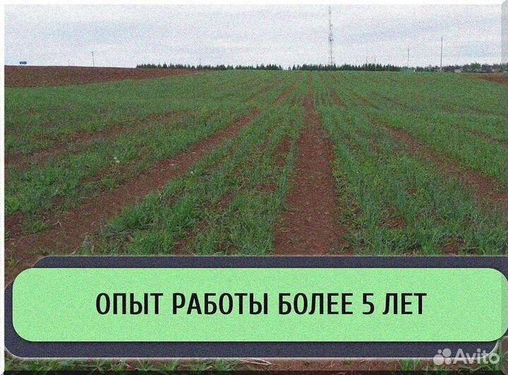 Ищу инвестора. Пассивный доход до 500 тыс. руб