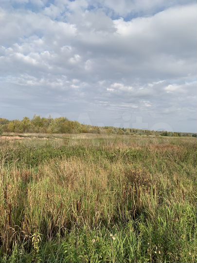 Участок 36,6 га (СНТ, ДНП)