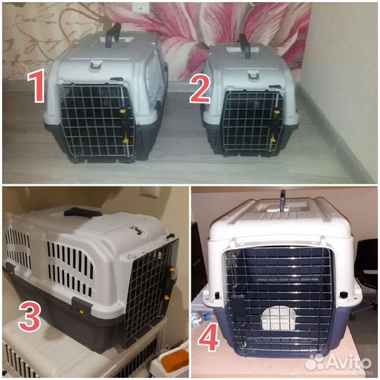 Аренда переноски для кошек и собак средних пород
