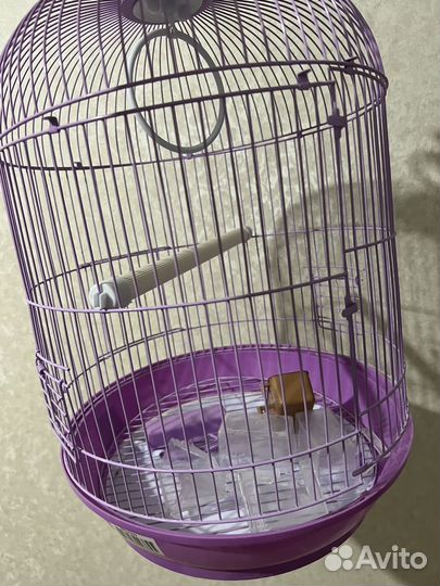 Клетка для попугая корелла