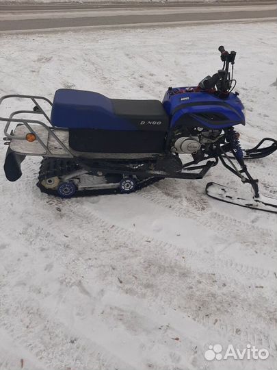 Irbis Dingo t125