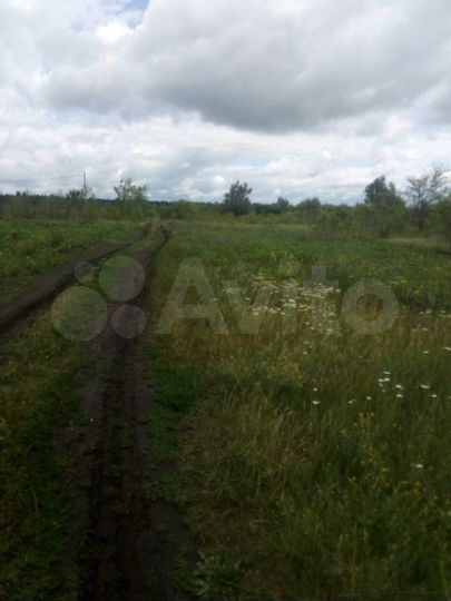 Участок 10 сот. (ИЖС)