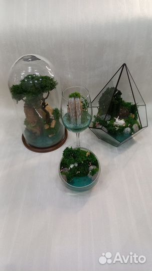 Моссариумы