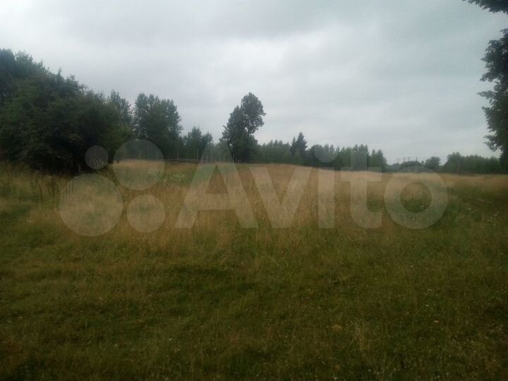 Участок 50 сот. (ИЖС)