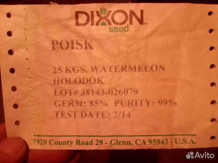 Семена арбуза Холодок