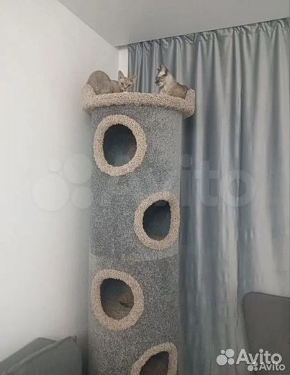 Когтеточка домик для кошек 