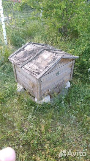 Вывезу ульи для пчёл,пчелоинвентарь