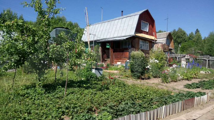 Дача 25 м² на участке 12 сот.