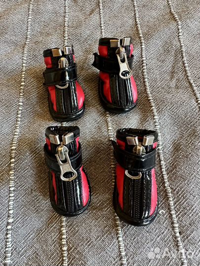 Ботинки для маленькой собаки