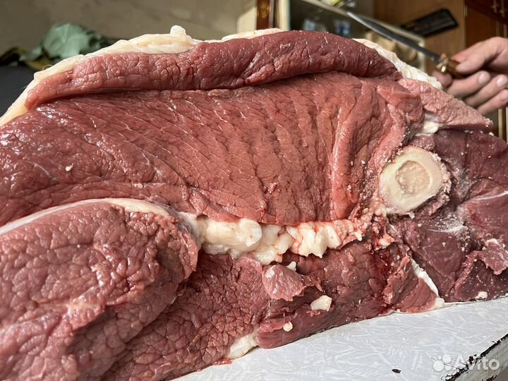 Мясо говядина домашняя