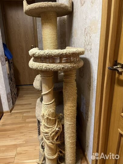 Когтеточка