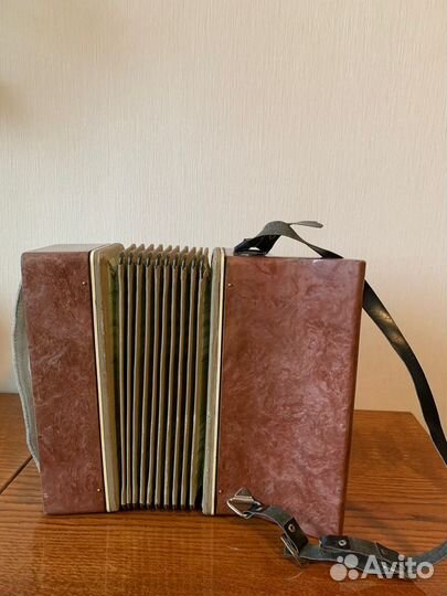 Аккордеон Дружок детский