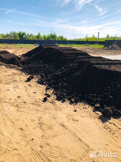 Торф низинный