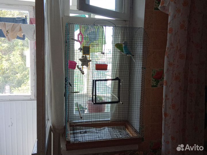 Клетка с попугайчиками.Продается