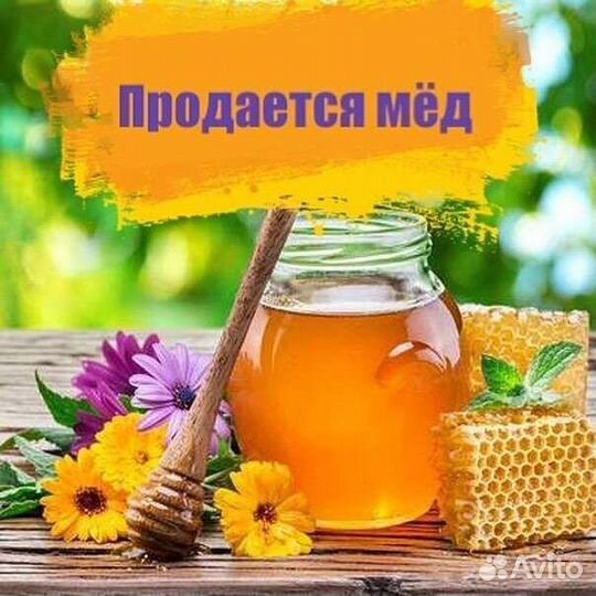 Продам мёд