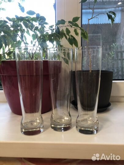 Пивные бокалы